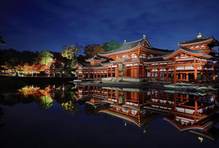 京都・宇治～綿秋のあかり～平等院の紅葉・鳳凰堂ライトアップと花やしき浮舟園でプチ贅沢会席