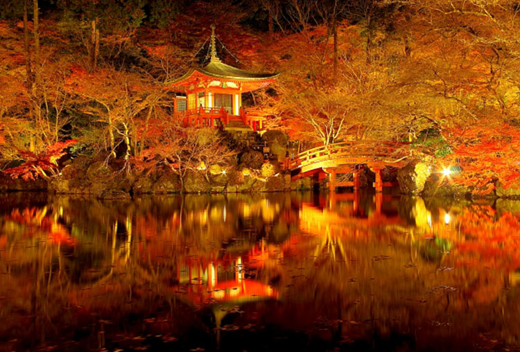 京都・伏見～秀吉が残した紅葉の名所～醍醐寺の伽藍ライトアップと鳥羽甚でプチ贅沢会席