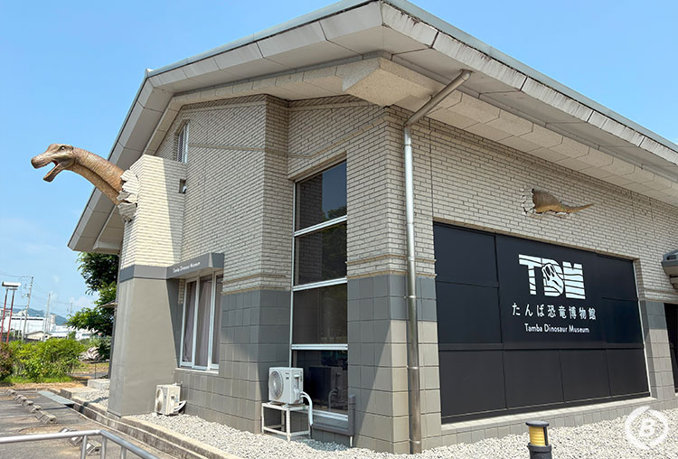 たんば恐竜博物館