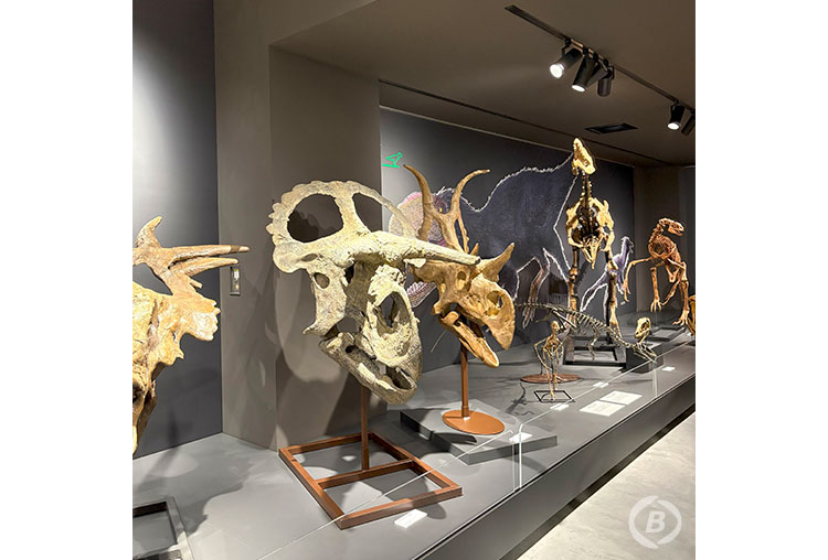 たんば恐竜博物館