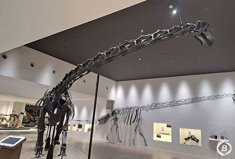 たんば恐竜博物館