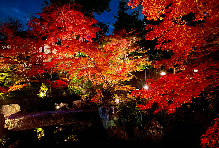 京都・長岡京～菅原道真公が愛した～長岡天満宮の錦景苑と錦水亭でプチ贅沢会席
