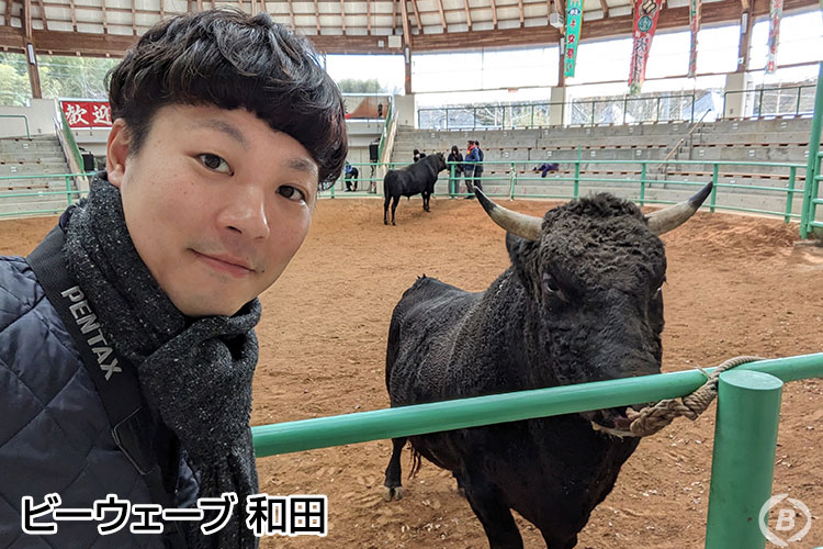 和田