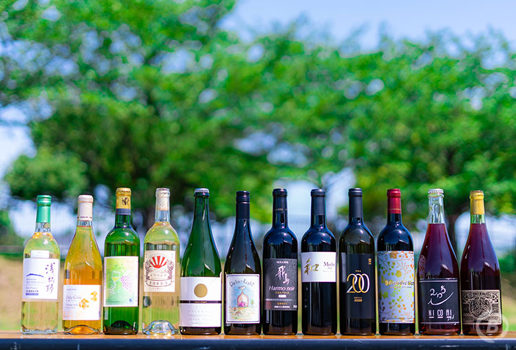 おおさかワインフェス2026