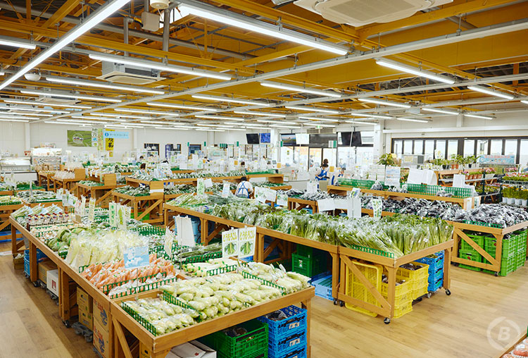 道の駅しらとりの郷