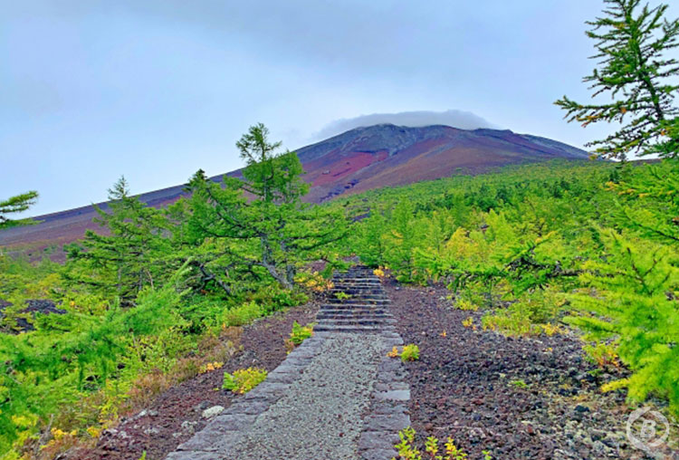 秋の富士山下山ルート