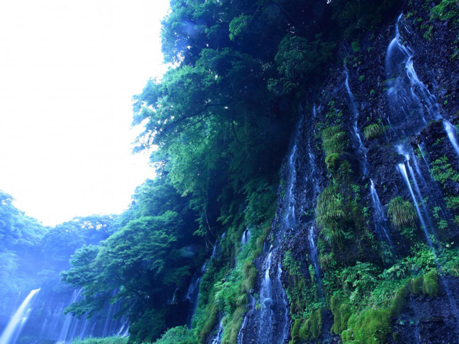 白糸の滝・音止めの滝（静岡県）