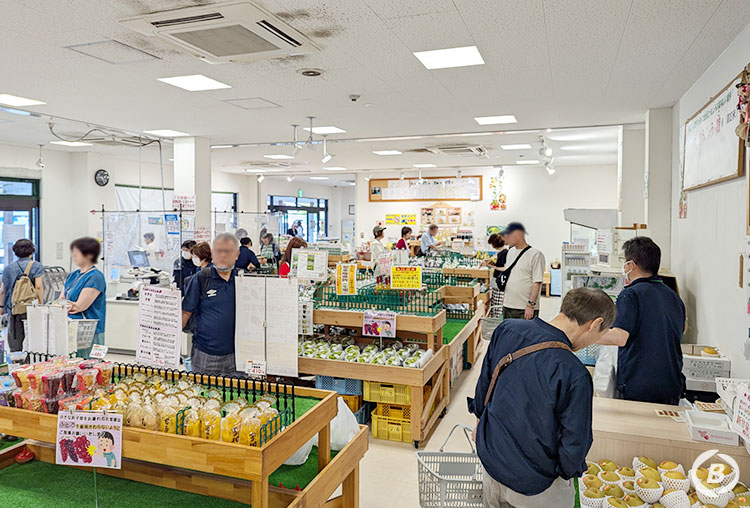 道の駅とうじょう