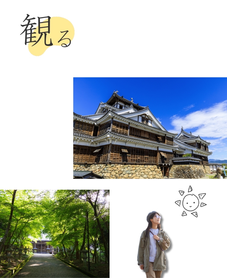 観る
