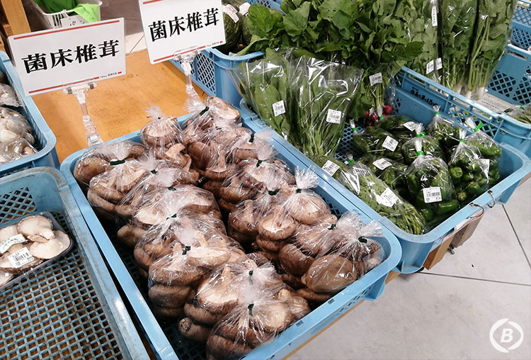 道の駅但馬のまほろば