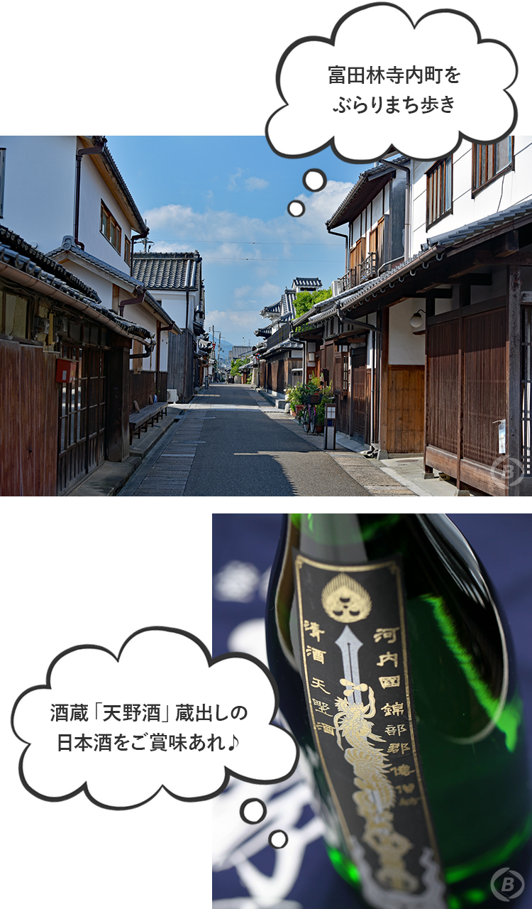 富田林寺内町・天空
