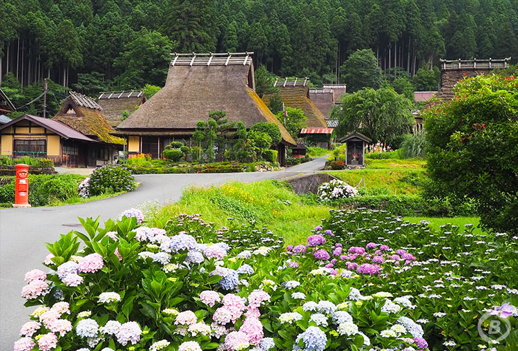 美山かやぶきの里