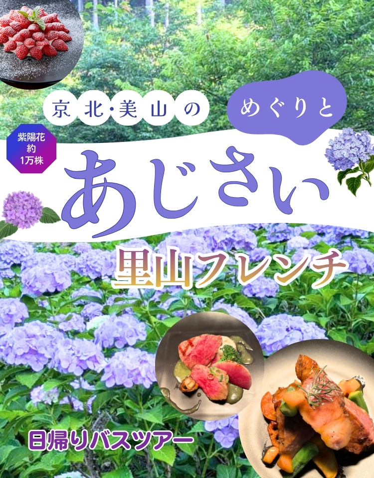 京北・美山の紫陽花めぐりと里山フレンチ日帰りバスツアー