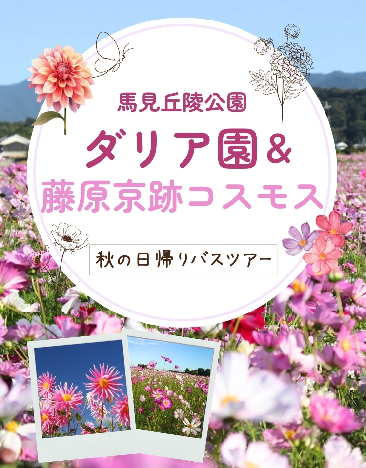 馬見丘陵公園ダリア園＆藤原京跡コスモス日帰りバスツアー