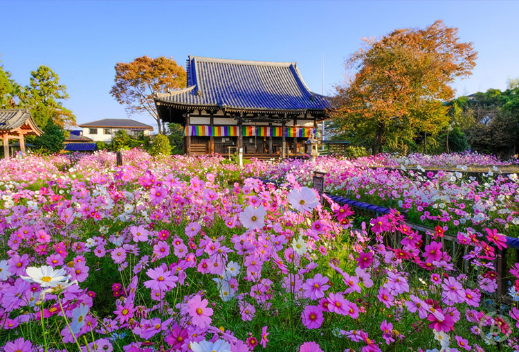 般若寺