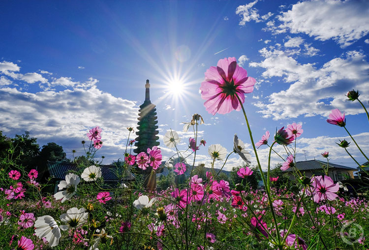 般若寺