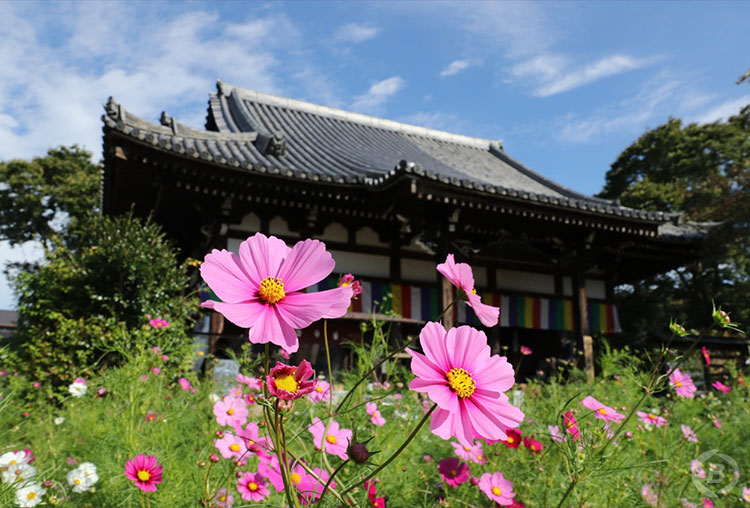 般若寺