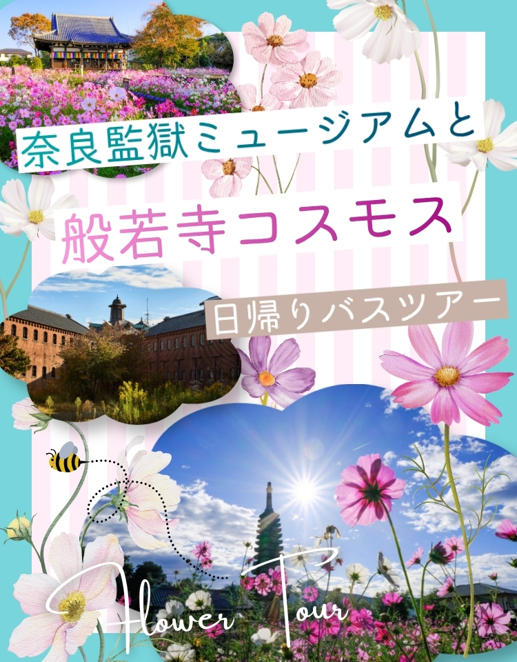 奈良監獄ミュージアムと般若寺コスモス日帰りバスツアー