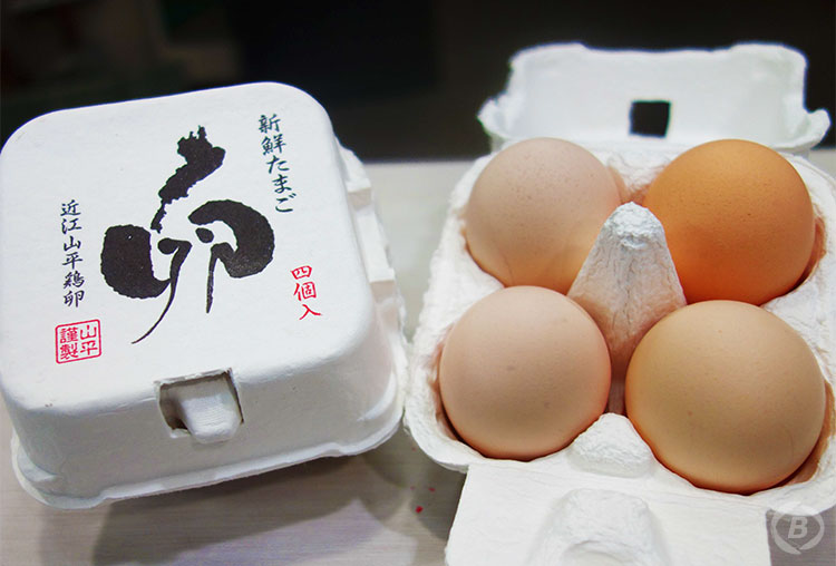 近江地卵