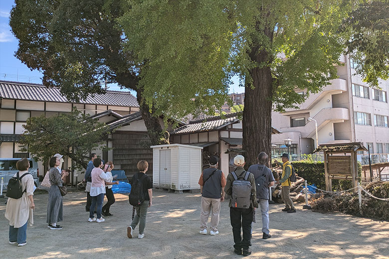 長野神社のかやのき