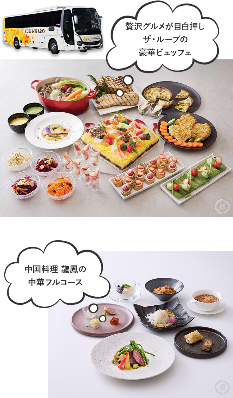 おおさか堺バルーンとホテルアゴーラ選べるランチ