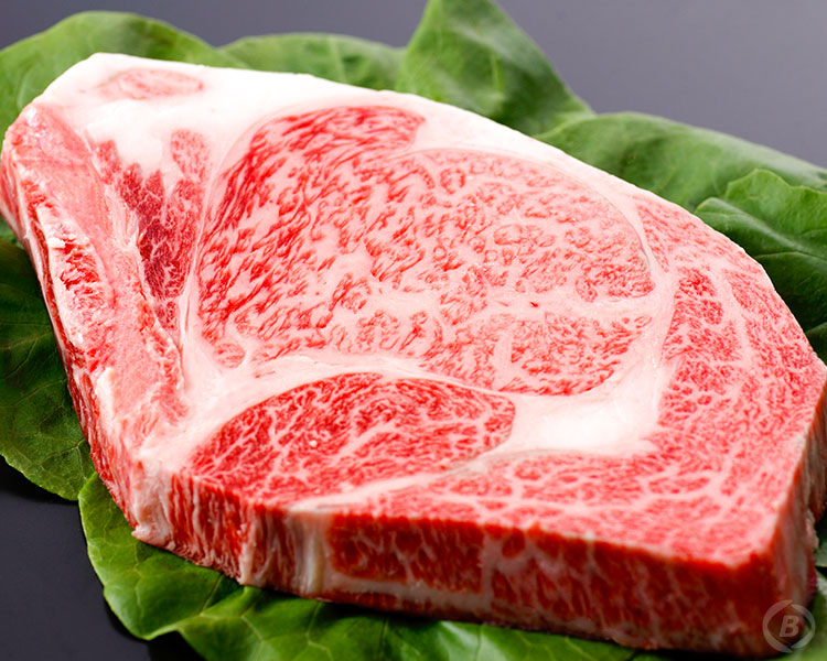 チャンピオン牛企画