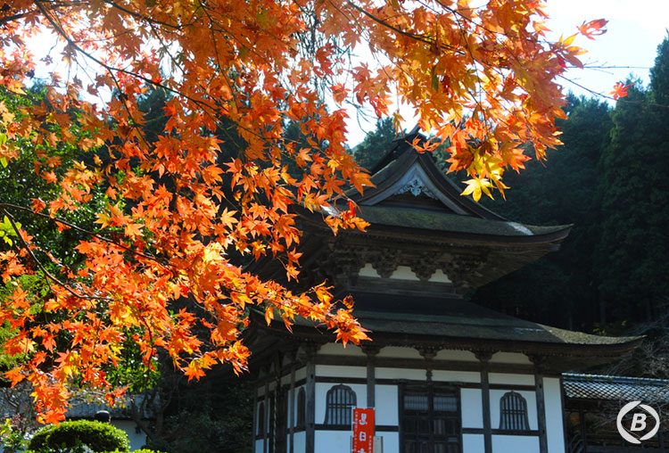 慧日寺