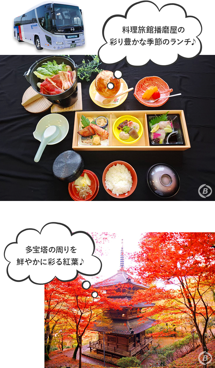 播磨屋ランチともみじめぐり