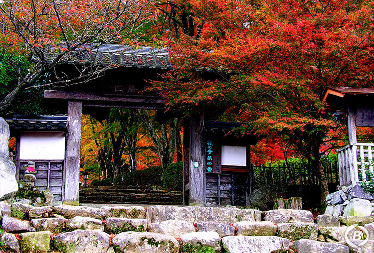 高源寺