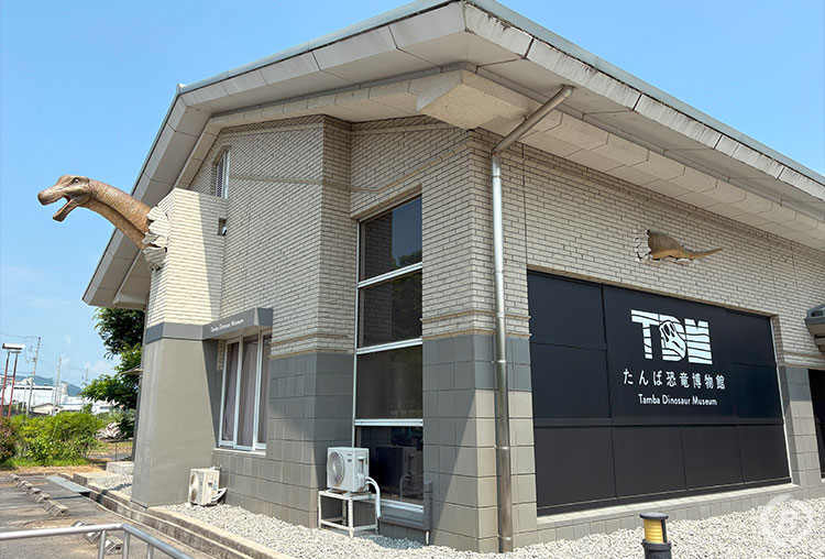 たんば恐竜博物館