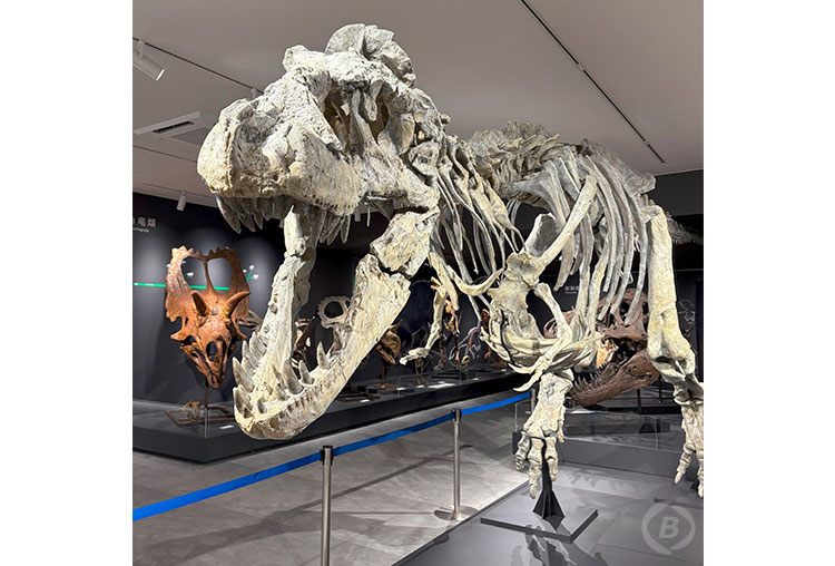 たんば恐竜博物館