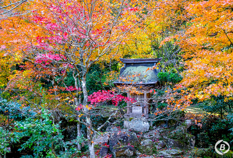 慧日寺