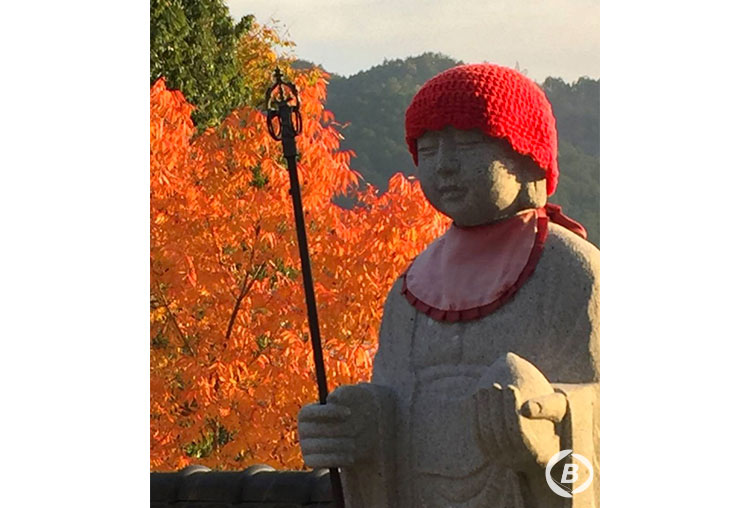 桂谷寺