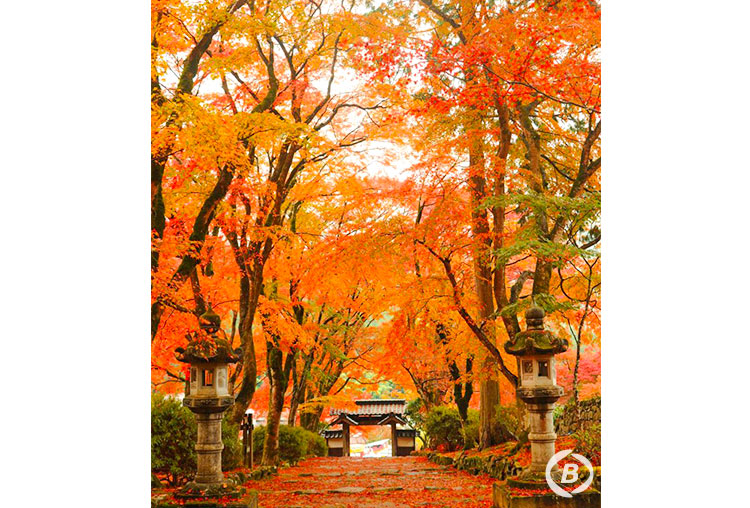 高源寺