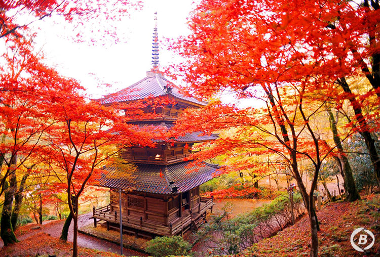 高源寺