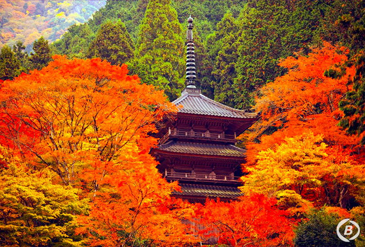 高源寺