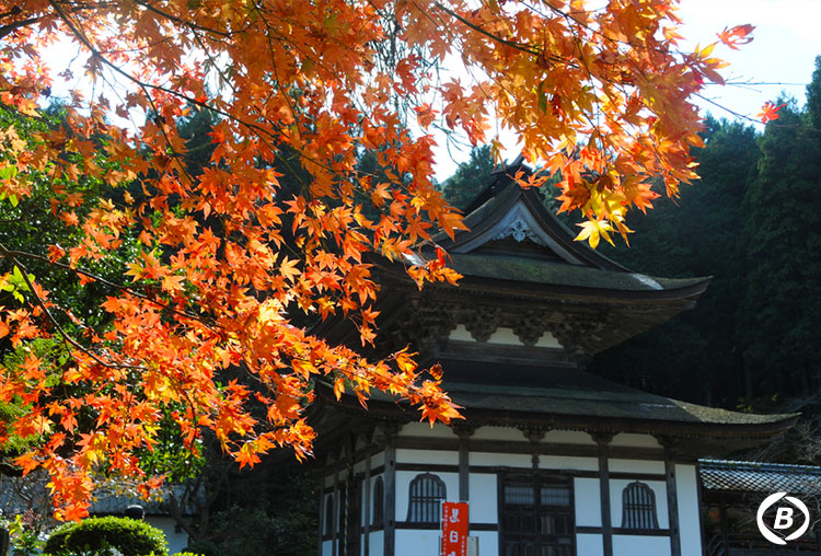 慧日寺