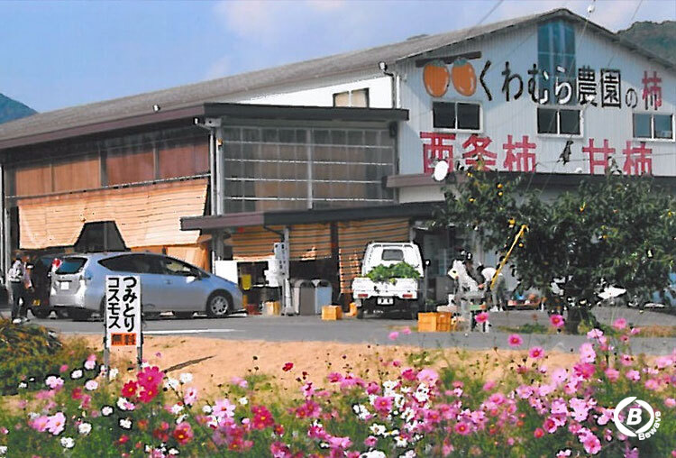 桑村農園