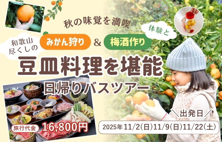 みかん狩り＆梅酒づくり体験｜和歌山ご褒美ランチ日帰りバスツアー
