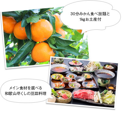 みかん狩り＆豆皿料理
