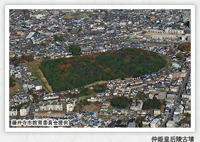 ガイドとめぐる歴史の旅～空白の歴史 創成期の日本を探る百舌鳥・古市古墳群の旅～｜歴史の旅・国内旅行のビーウェーブ