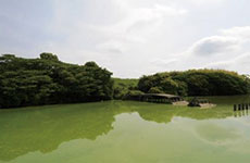 いたすけ古墳