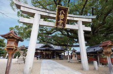百舌鳥八幡宮
