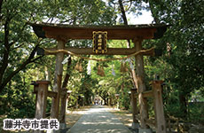 辛國神社