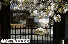 銀山寺