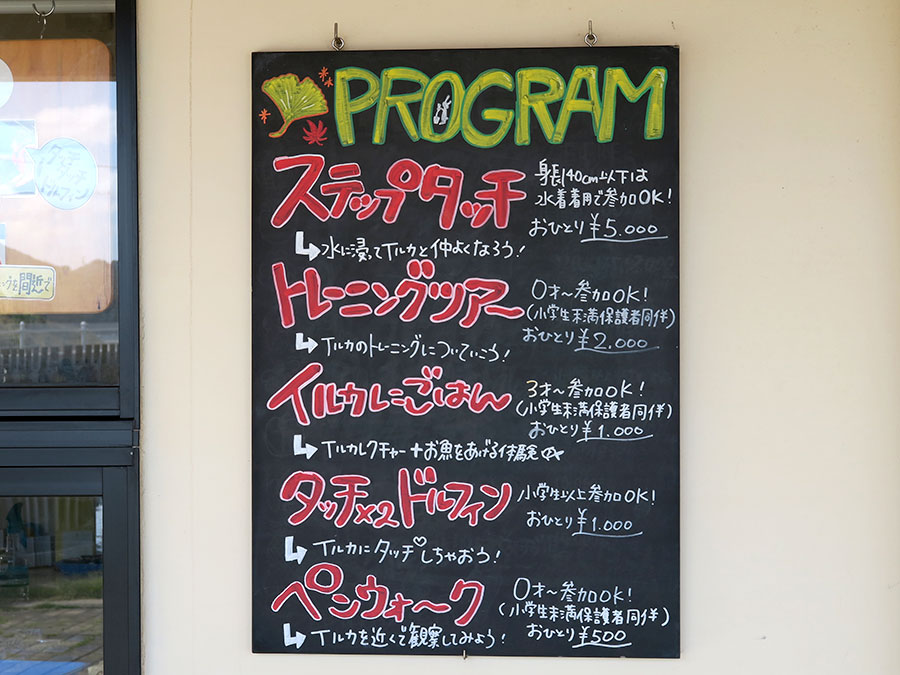 壱岐イルカパーク＆リゾートのプログラム
