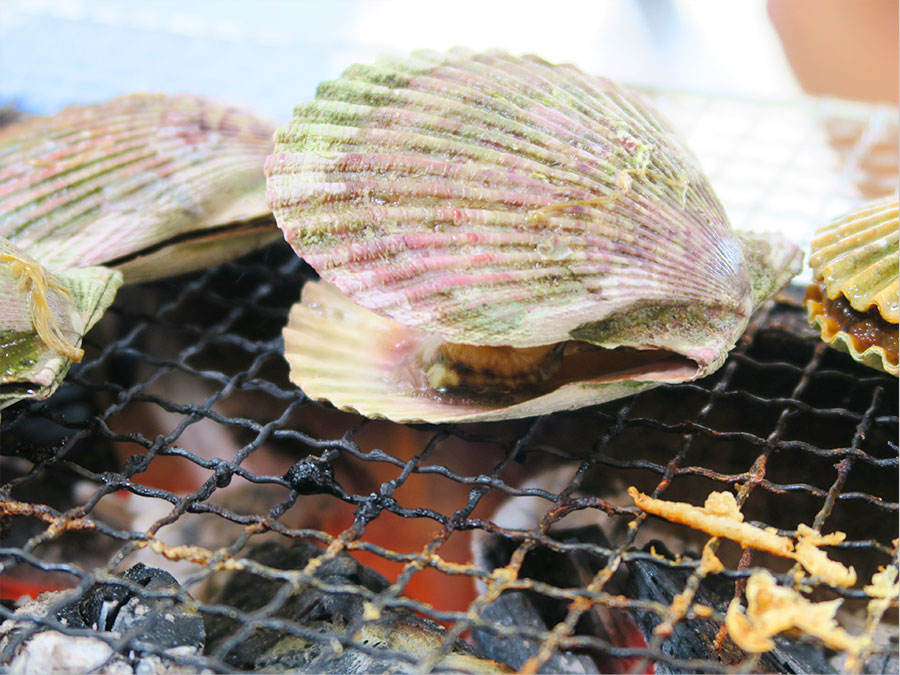 焼きヒオウギ貝