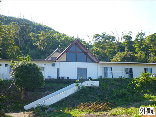 ペンションtsukuba 大型客船 東京発4日間 伊豆諸島ツアー 伊豆諸島旅行のビーウェーブ