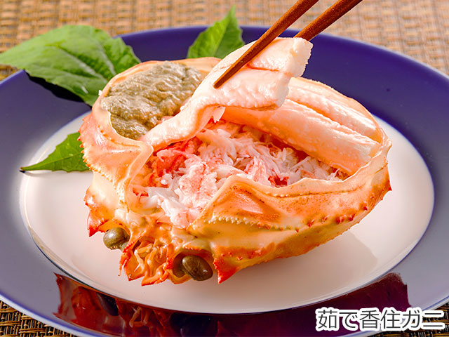 夕香楼しょう和茹で香住ガニ