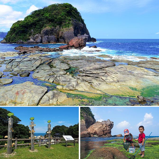 かえる島